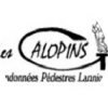 Les galopins lannion