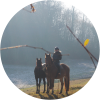 Mes chevaux et moi 