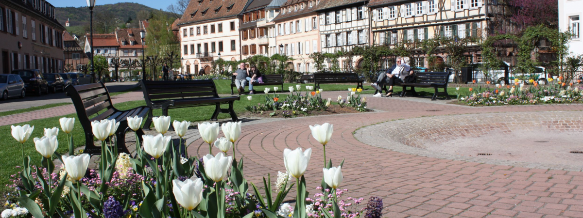 Communauté de Communes du Pays de Wissembourg