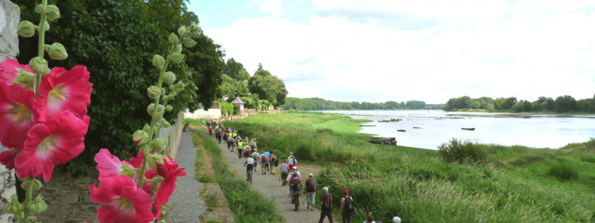 FFRandonnée Maine et Loire