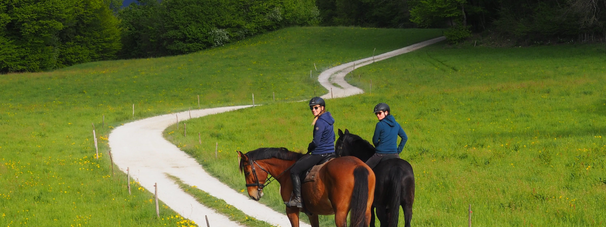 Mes chevaux et moi 